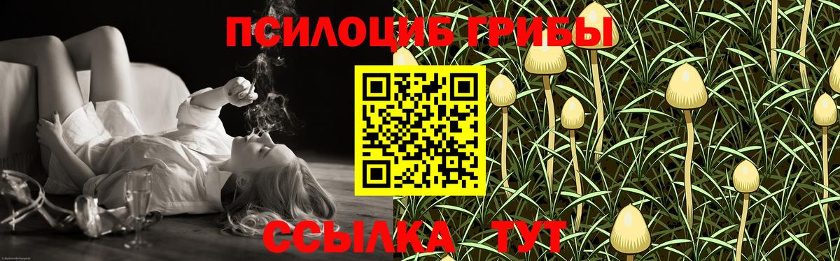 Псилоцибиновые грибы MAGIC MUSHROOMS  Вход с VPN  Азов  Галлюциногенные грибы MAGIC MUSHROOMS 